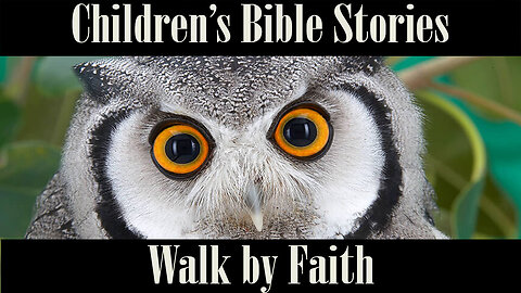 Children's Bible Stories-Walk by Faith