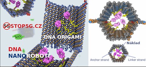DNA Nanoroboti
