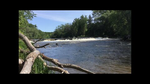 Milwaukee River Fishing at Kletzsch Park Wisconsin 密尔沃基河钓鱼