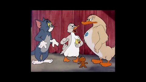 Tom and Jerry little quacker ( 1957) épisode 47