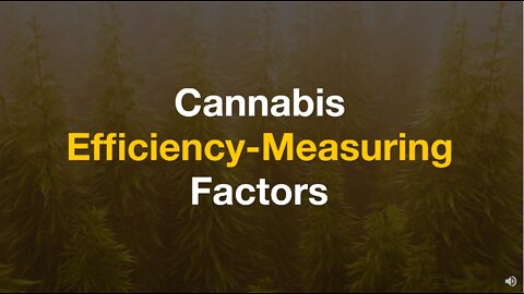 Cannabis Efficiency Measuring Factors