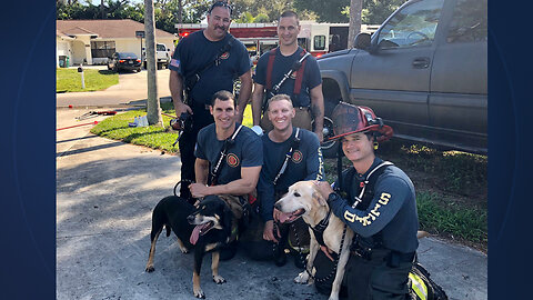 House fire extinguished, 2 dogs rescued in Fort Pierce