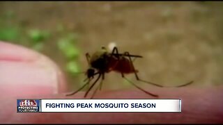 How to protect yourself from mosquitoes this summer