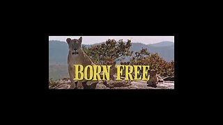 Born Free 1966
