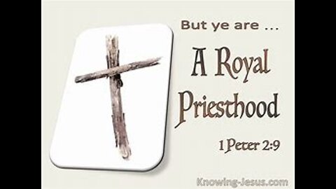 Number 24 Priesthood. The Biblical Number Series