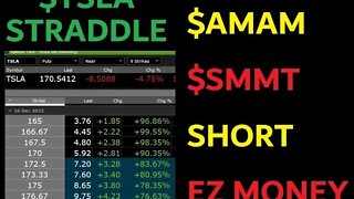 $TSLA STRADDLE, $AMAM+$SMMT SHORT/PUTS = PROFITLAND. YOU DONT NEED $MMTLP / $MMAT / PUMP N DUMPS =)