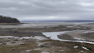 Tide Out In A Digby Area.