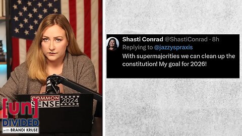 Chair of Washington Democratic Party says she wants to 'clean up' the Constitution