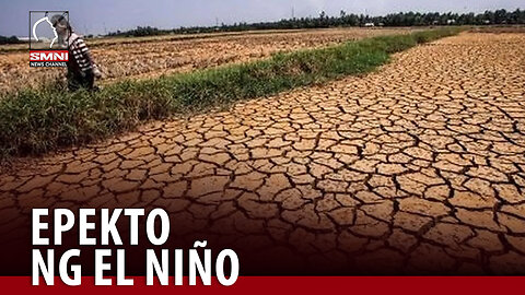 DA: Pinsalang dulot ng El Niño sa livestock industry, pumalo na sa higit P10-M