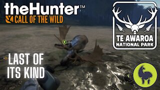 The Hunter: Call of the Wild, Last of its Kind (Both Options) Te Awaroa- PS5 4K