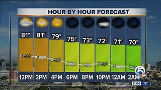 South Florida Wednesday afternoon forecast (1/15/20)
