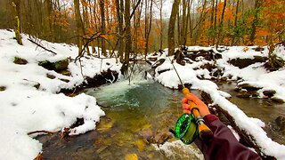 Trout Fishing MISERABLE Winter Weather (Creek fishing in the SNOW)