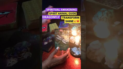 🦋⚡️💥ANIMAL SPIRIT GUIDE 🧚🏻‍♂️DRAGONFLY#animalspiritguides #spiritualawakening #spiritguide