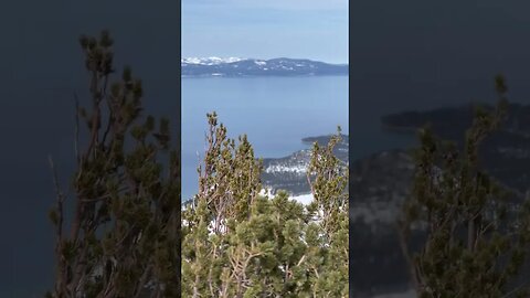 Birds' view of Lake Tahoe on top of Heavenly Gondola sightseeing Peak. #shorts #laketahoe