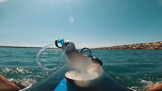 Daily Paddle 🤙🏽