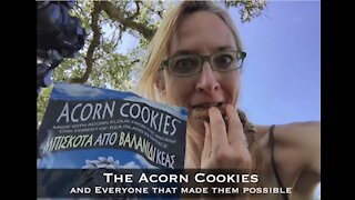 TreeGirl: Acorn Harvesting with Red Tractor Farm on Kea, Greece