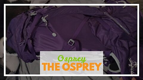 Osprey Tempest 40 Women's Hiking Backpack