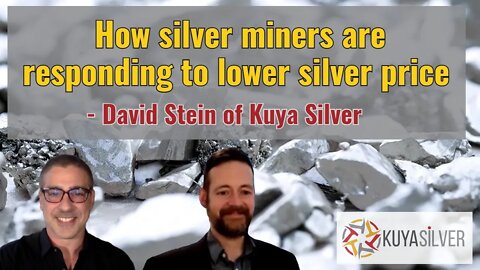 What are the silver miners doing about low silver price? (w/David Stein of Kuya Silver)