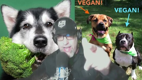 Vegan Pets - More animal cruelty?