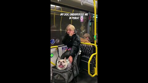 My dog Embarrassed me in public transport