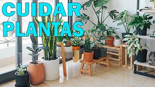 7 Consejos para CUIDAR de las PLANTAS en tu HOGAR y JARDÍN 🍀🌺