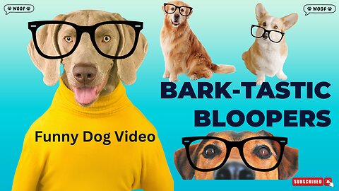 🐶🐾 Funny Dog Video lBark-tastic Bloopers🐶🐾 1