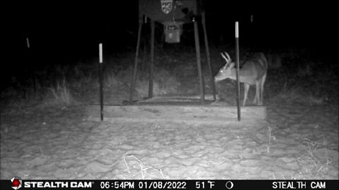 Game Cam 1-8 to 9 2022