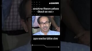 #Shorts | उद्धव ठाकरेंचा शिंदेंना टोला | Uddhav Thackerya| Politics | Maharashtra | Sarkarnama