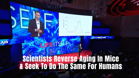 Scientists Reverse Aging In Mice & Seek To Do The Same For Humans