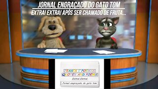 Jornal engraçado do gato tom: Após ser chamado de fruta... [Frases e Poemas]