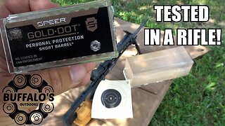 .22 Magnum GOLD DOT Short Barrel Ammo Tested in a Rifle!