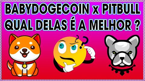 BABYDOGE X PITBULL TOKEN QUAL DELAS É A MELHOR ?