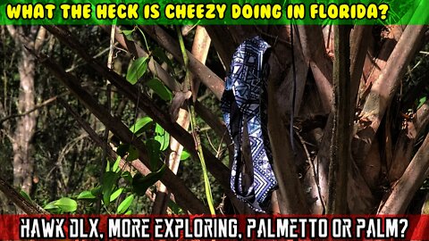 (S2 E3) (Florida Hawk) On off road exploring, Palmetto or palm tree? Speedo wire broke, Panty Palm