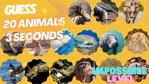 Guess 20 Animals in 3 Seconds Impossible Level | Easy, Medium, Hard, Impossible #guess #guessinggame