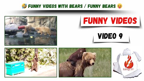 🤣 Funny videos / Funny videos with bears / funny bears 😝