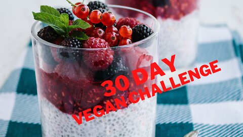 1 MONTH VEGAN CHALLENGE