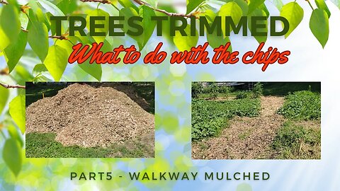 What to do with Wood Chips - Part 5 Walkway Mulched