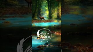 Excellent Playlist for Relaxing!