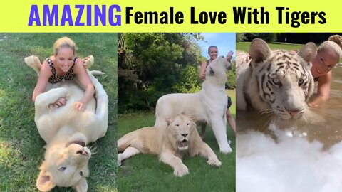 Amazing Female have a Strong Friendship With Tigers