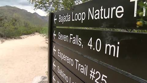 Best places to hike in the Tucson area (when it's not too hot)