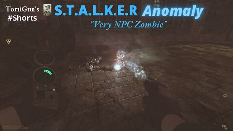 Very NPC Zombie (S.T.A.L.K.E.R Anomaly) #Shorts