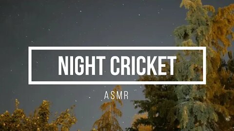 Night Cricket | ASMR | Relaxation & Meditation