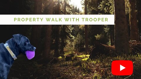 Property walk with Trooper