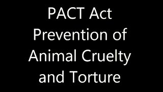 #5 PACT ACT