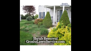 Shrub Removal Martinsburg West Virginia Landscape Contractor