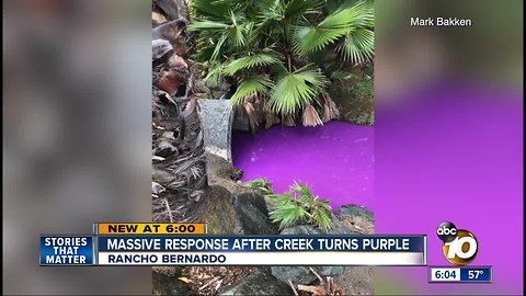 Massive response after Rancho Bernardo creek turns purple