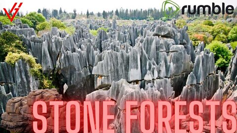 stone forests