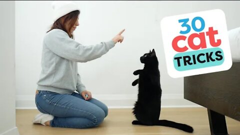 30 Tricks to Train Your Cat