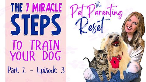 The Pet Parenting Reset - The 7 Miracle Steps To Train Your Dog, Part 2 (episode 3)