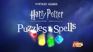 Zayn Malik Teams Up with Harry Potter: Puzzles & Spells